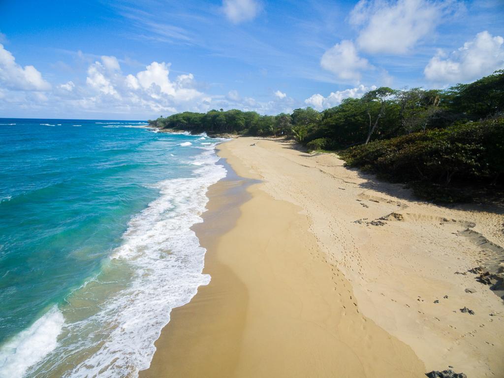 Natura Cabana Boutique Hotel & Spa By Mint Cabarete Exterior foto